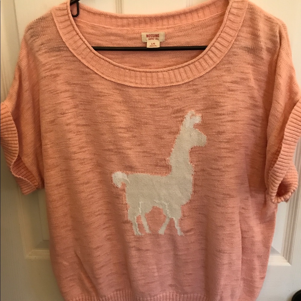 Llama sweater