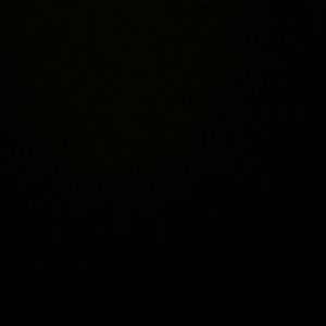 Meet your Posher, Randy