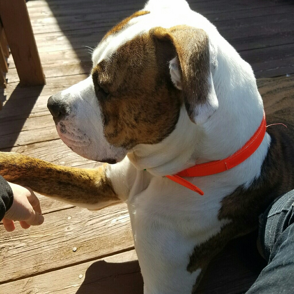 Meet your Posher, Heather