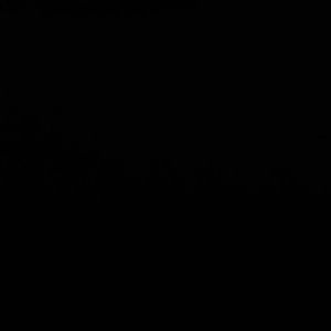 Meet your Posher, Bella