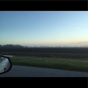 Meet your Posher, Kitty