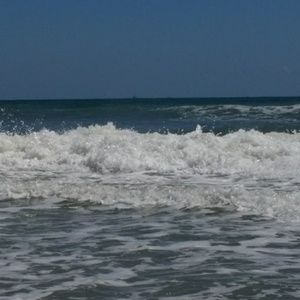 Meet your Posher, Shayla