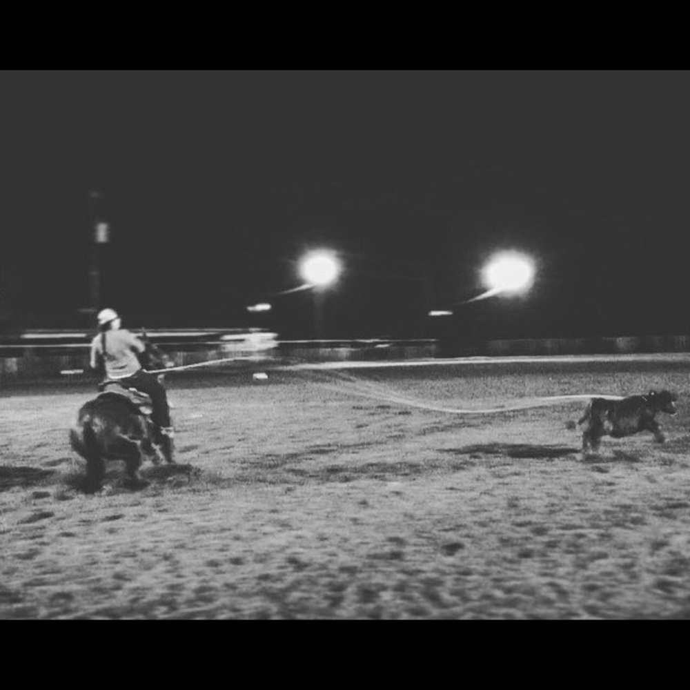 Meet your Posher, Jazi