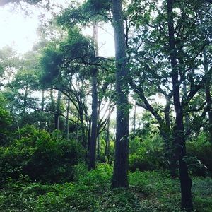 Meet your Posher, Cassie