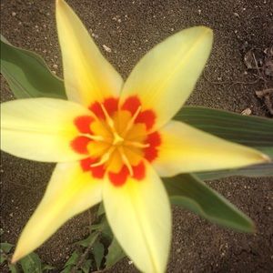 Meet your Posher, Allany