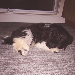 Meet your Posher, Sofia