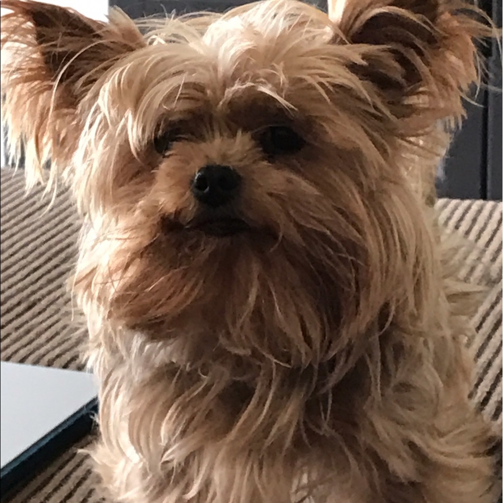 Meet your Posher, Beth