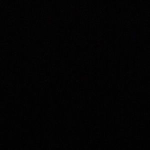 Meet your Posher, Brendan