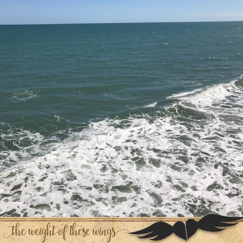 Meet your Posher, Theresa