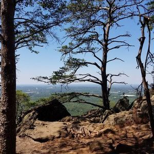 Meet your Posher, Dyana