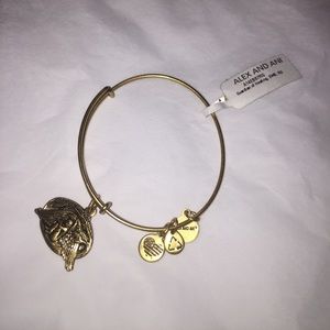 Guardian of healing bracelet