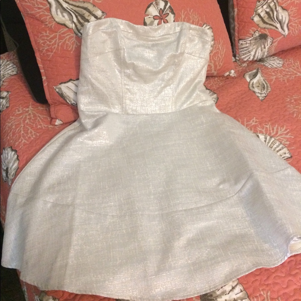 Creme-Silvery Dress