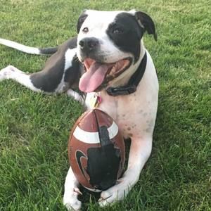 Meet your Posher, Marcy