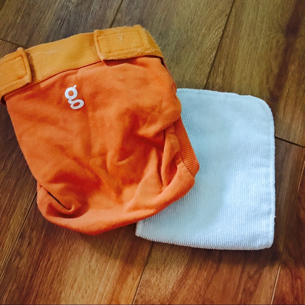 G diapers size L 13-36 lbs. Great for Pumpkin Pics