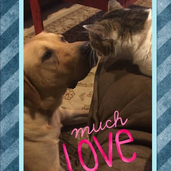 Unconditional Love - Picture 2 of 2