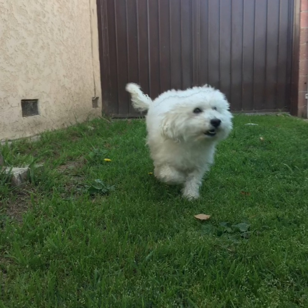 Meet your Posher, Nicole