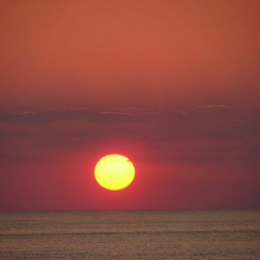 Meet your Posher, Jeanie