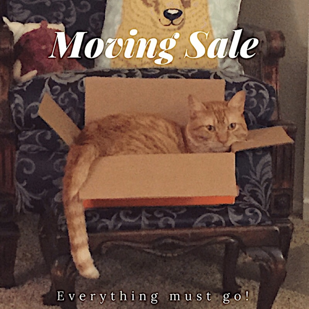 Make me an offer! ✨