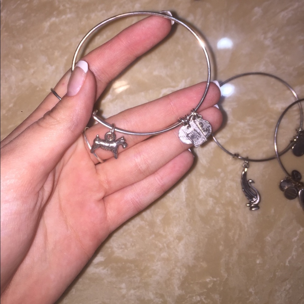 Alex & Ani - Picture 2 of 4