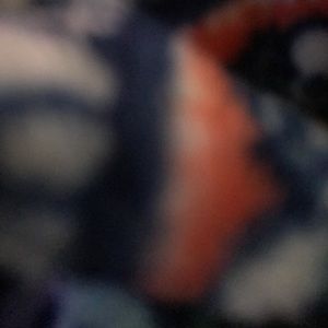 Meet your Posher, Bella