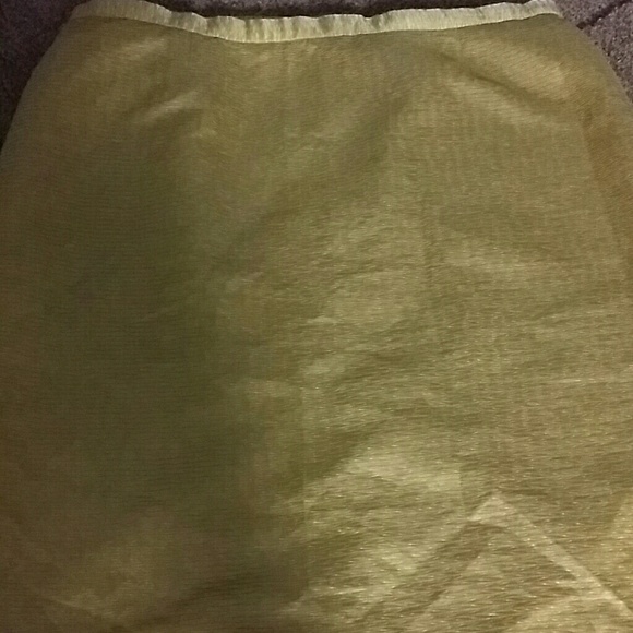 Beautiful Gold Skirt. Plus size!!! - Picture 2 of 4