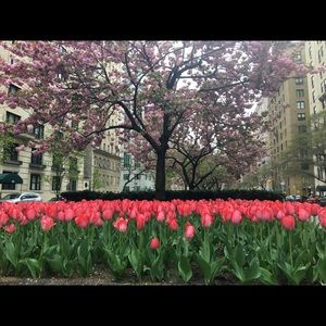 Meet your Posher, Dinesh