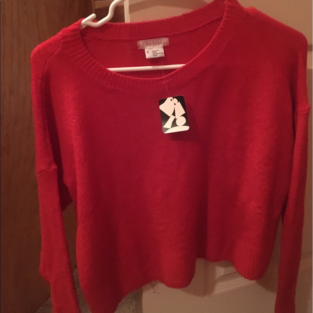 Urban outfitters cooperative crop sweater