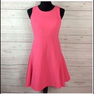 NWT Fit and Flare Dress- perfect for spring!