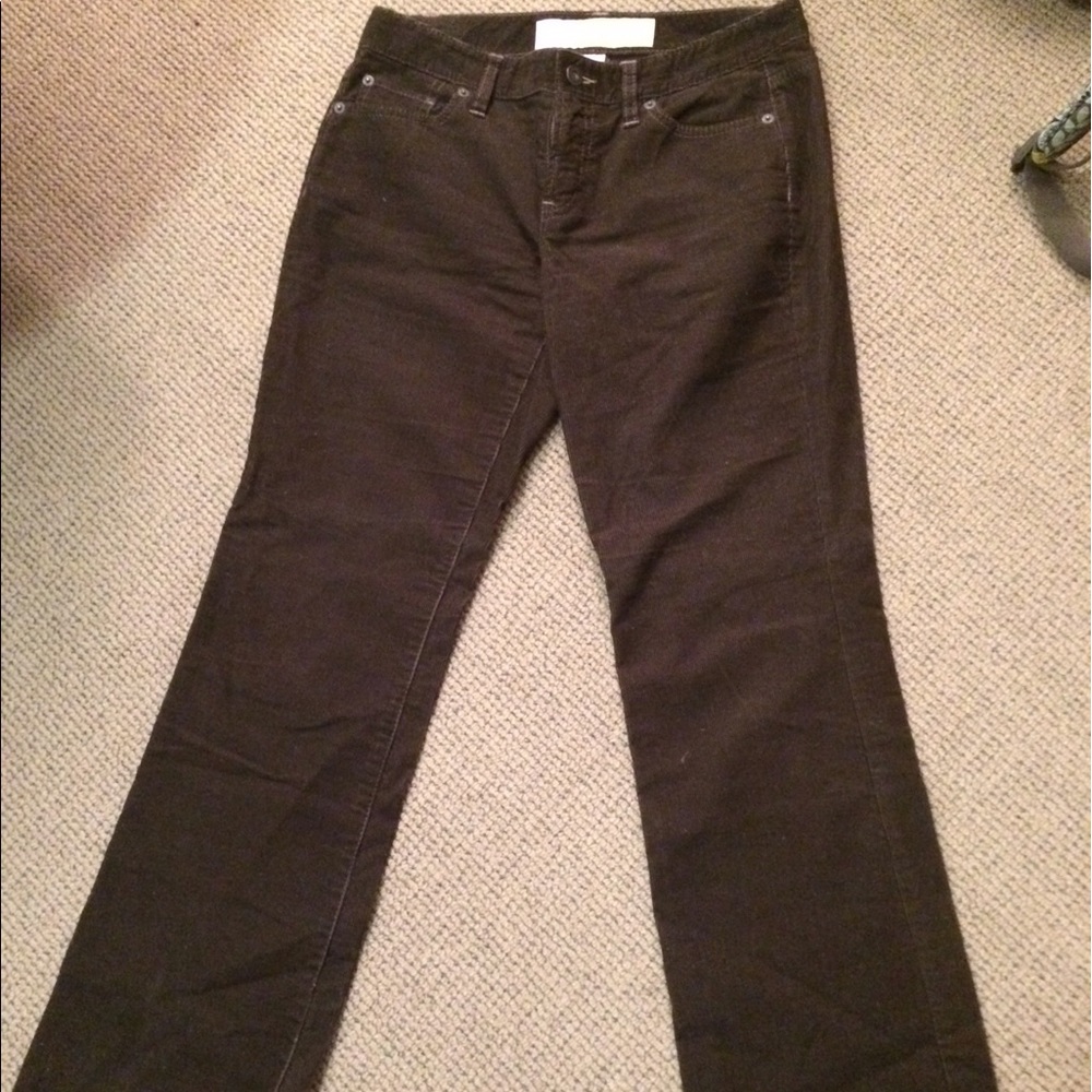 Brown Ann Taylor Jeans SALE!
