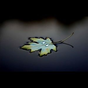 Meet your Posher, Beata