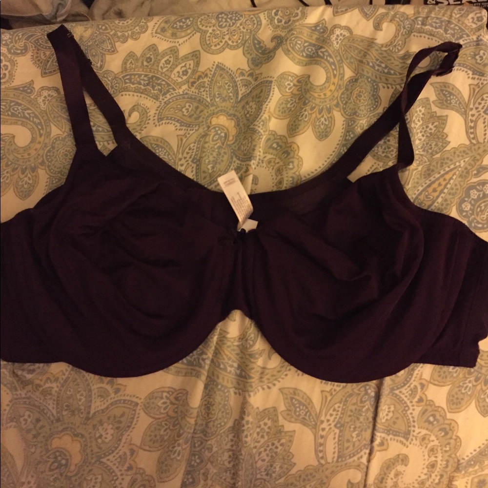 Cacique Fill Coverage bra 46c plum (Lane Bryant)