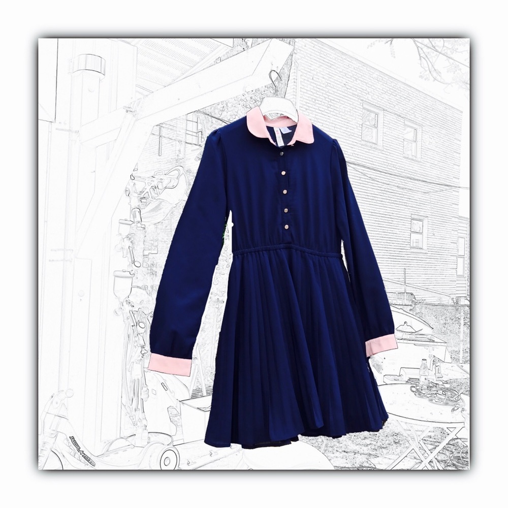Anthropology Navy and Peach Pleated Dress