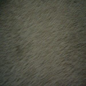 Meet your Posher, Isaiah