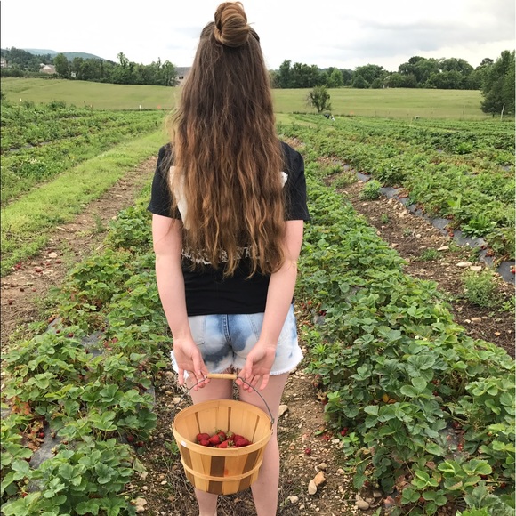 Meet your Posher, Nancy - Picture 3 of 3