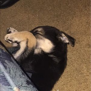 Meet your Posher, Tabitha