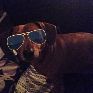 Meet your Posher, Chris