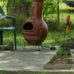 Meet your Posher, Tammy