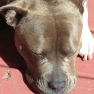 Meet your Posher, Annette