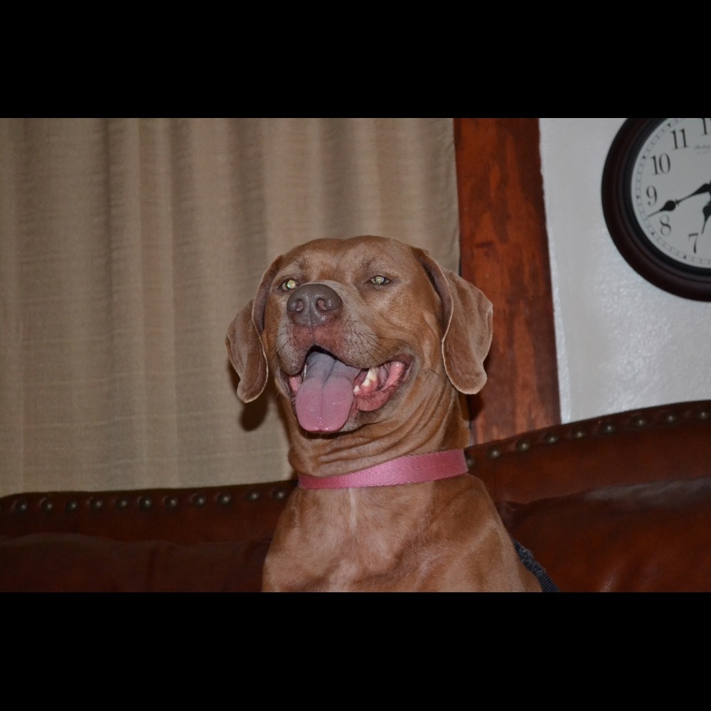 Meet your Posher, Sherryl