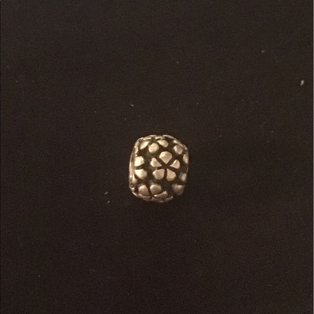 Pandora Charm