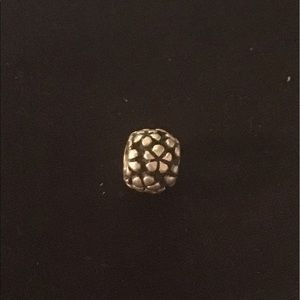 Pandora Charm