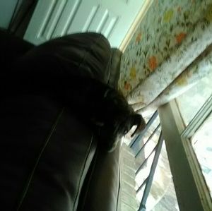 Meet your Posher, Samantha