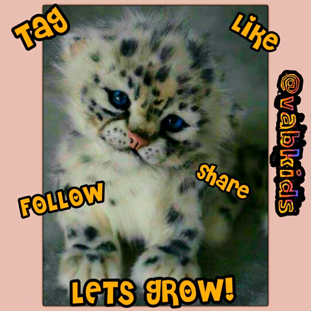 FOLLOW ME!!!! LETS GROW TOGETHER!!!