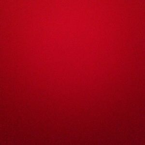 Meet your Posher, Reagan