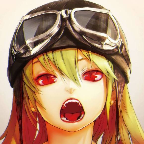 Meet your Posher, Lando - Picture 1 of 1