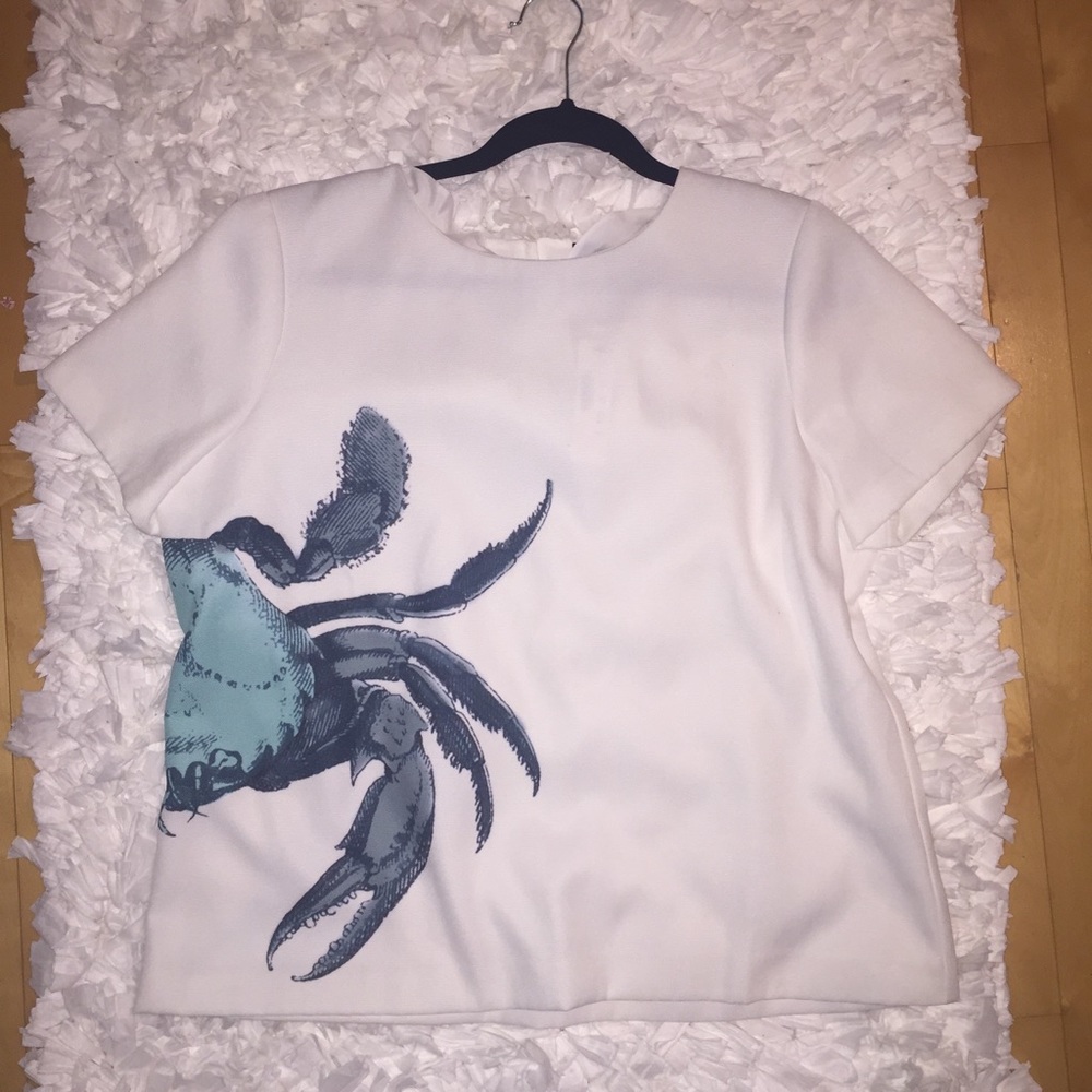 J. Crew Crab Top (Never Worn)