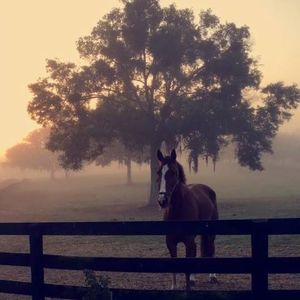 Meet your Posher, Liz