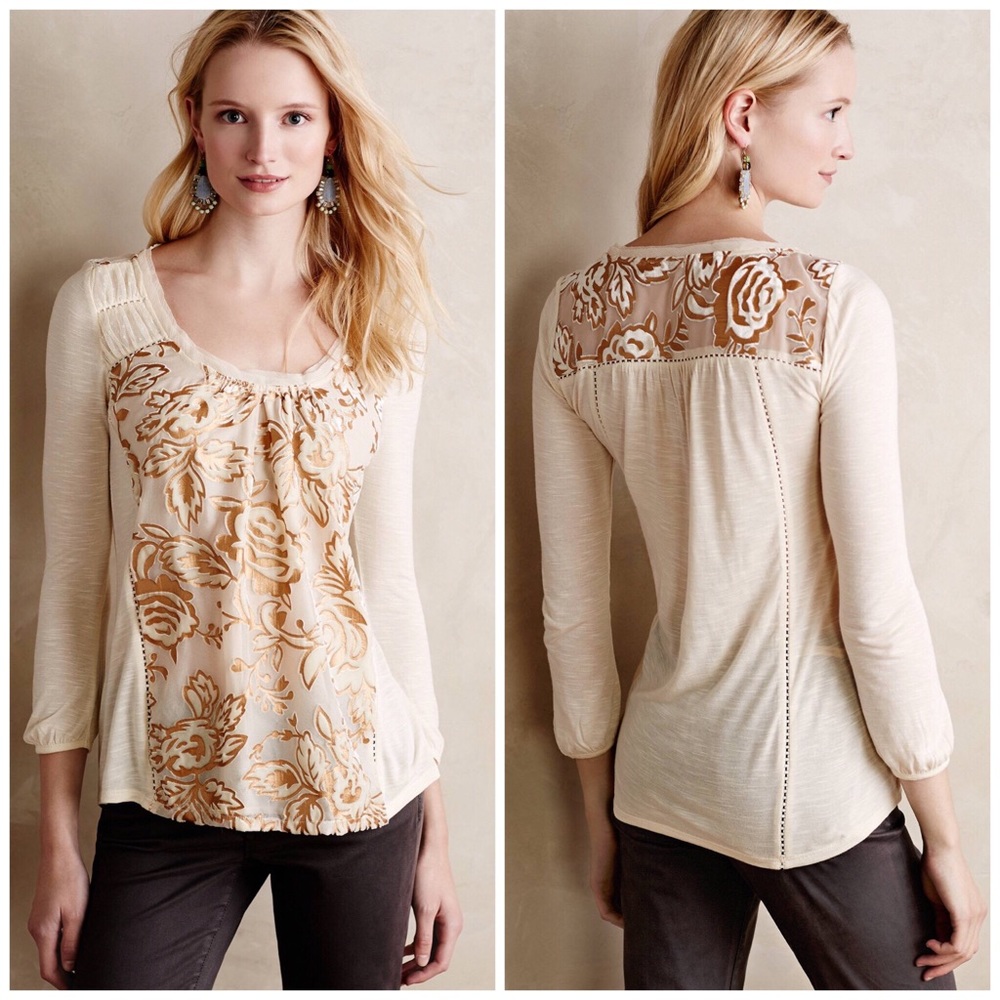 Anthropologie Mariana Burnout Velvet Top