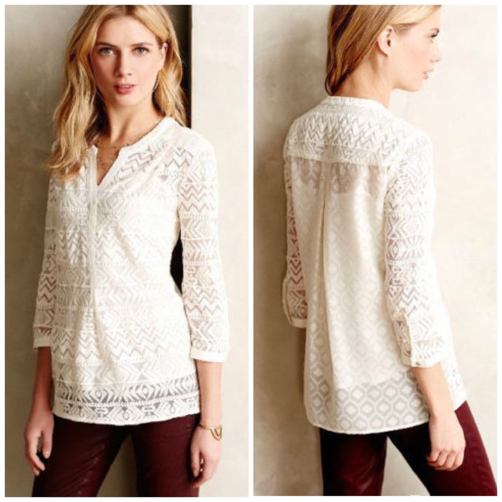 Anthropologie Embroidered Tulle Tunic