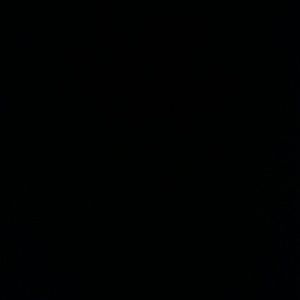 Meet your Posher, Damone